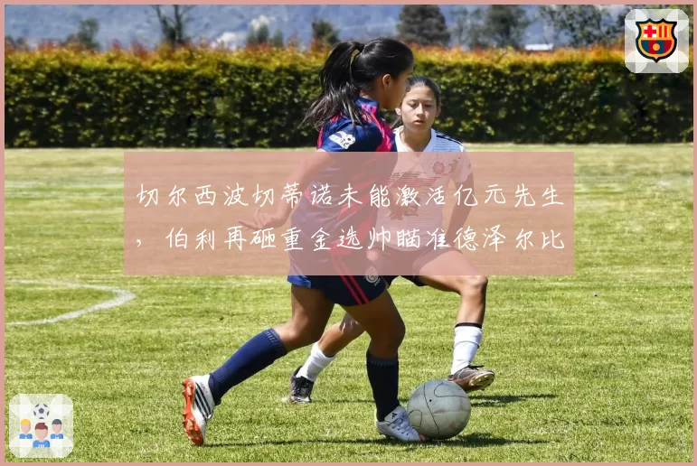 切尔西波切蒂诺未能激活亿元先生，伯利再砸重金选帅瞄准德泽尔比？