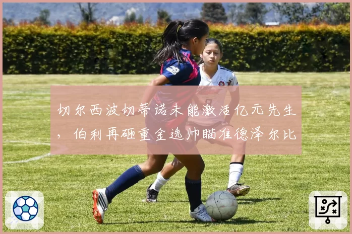 切尔西波切蒂诺未能激活亿元先生，伯利再砸重金选帅瞄准德泽尔比？