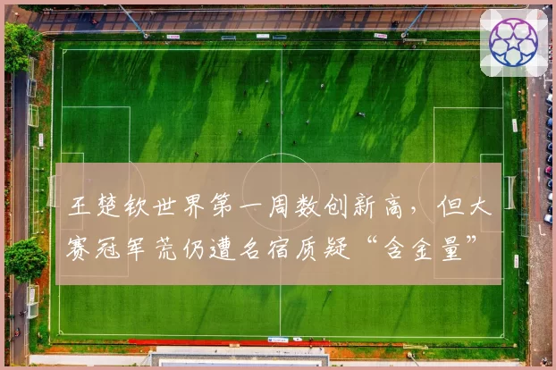 王楚钦世界第一周数创新高，但大赛冠军荒仍遭名宿质疑“含金量”