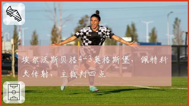 埃尔沃斯贝格4-3奥格斯堡，佩特科夫传射，主裁判四点