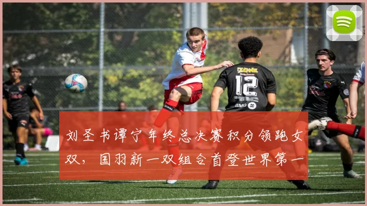 刘圣书谭宁年终总决赛积分领跑女双，国羽新一双组合首登世界第一几率多大？