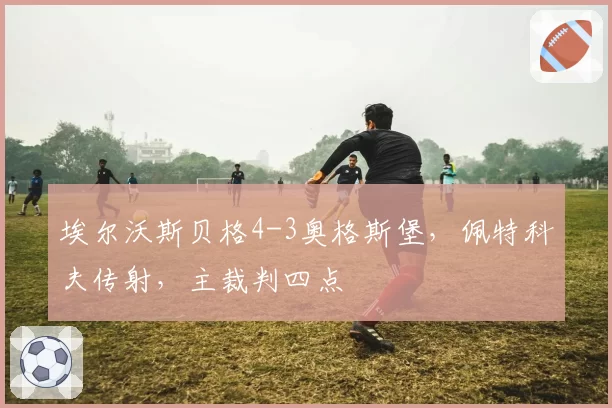 埃尔沃斯贝格4-3奥格斯堡，佩特科夫传射，主裁判四点